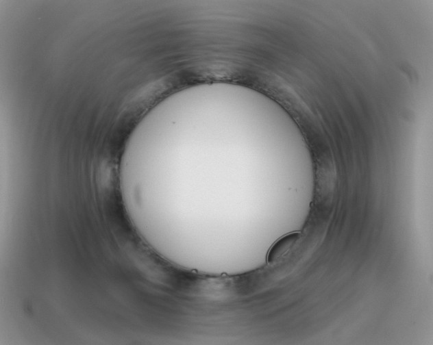 X0000114590126200911091304