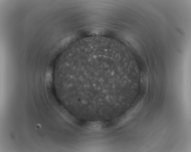 X0000114590127200911091304