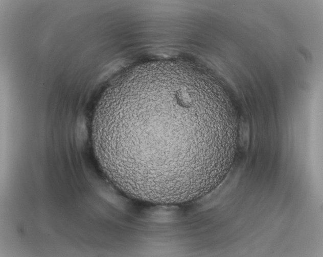 X0000114590128200911091304