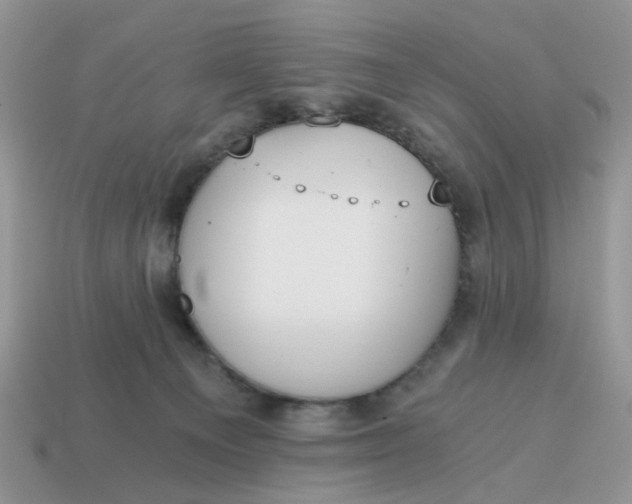 X0000114590129200911091304