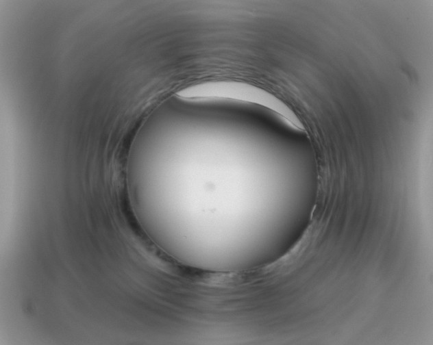 X0000114590136200911091304