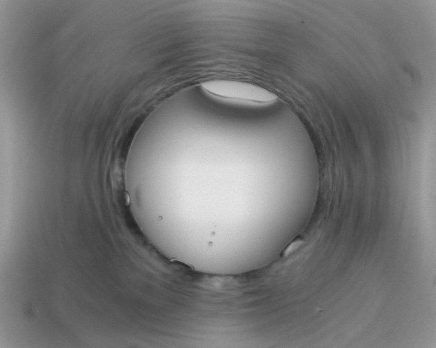 X0000114590137200911091304