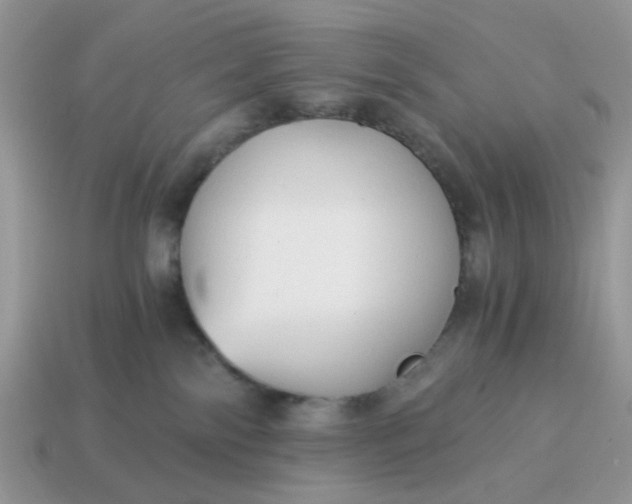 X0000114590138200911091304