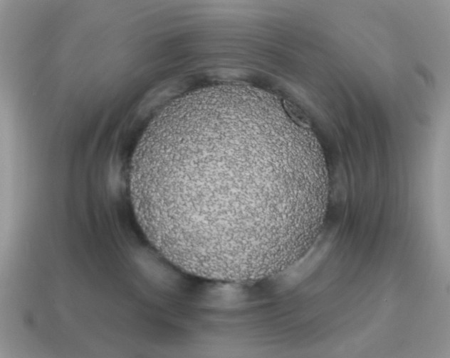 X0000114590140200911091304