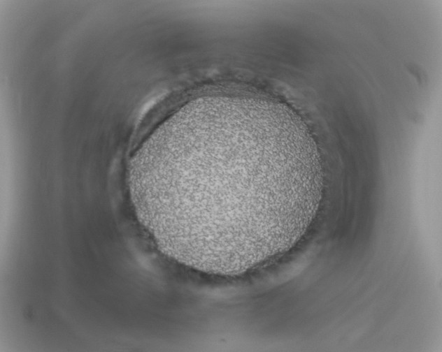 X0000114590144200911091304