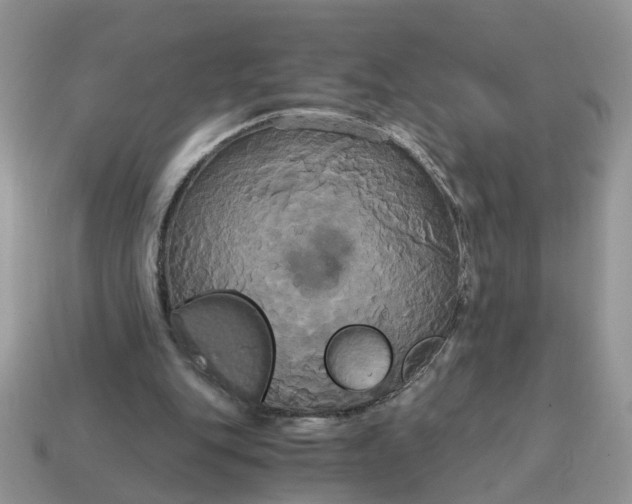 X0000114590151200911091303