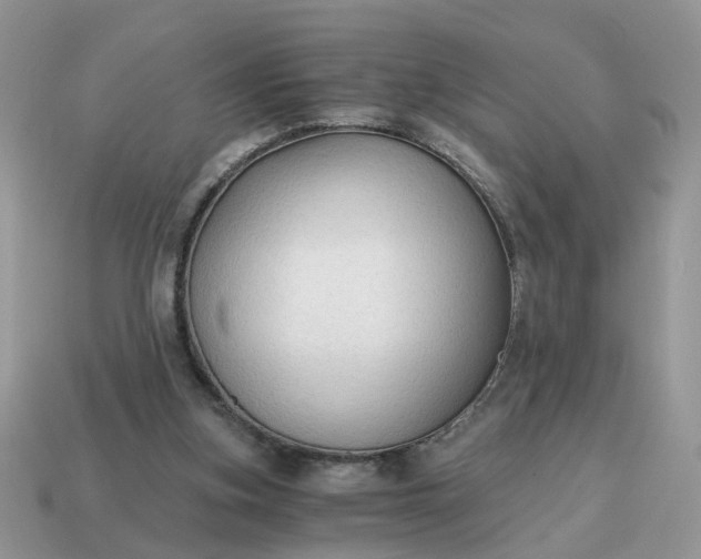 X0000114590155200911091303