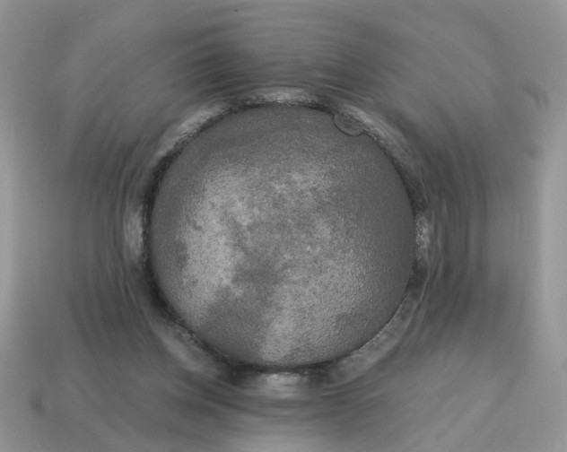 X0000114590158200911091303