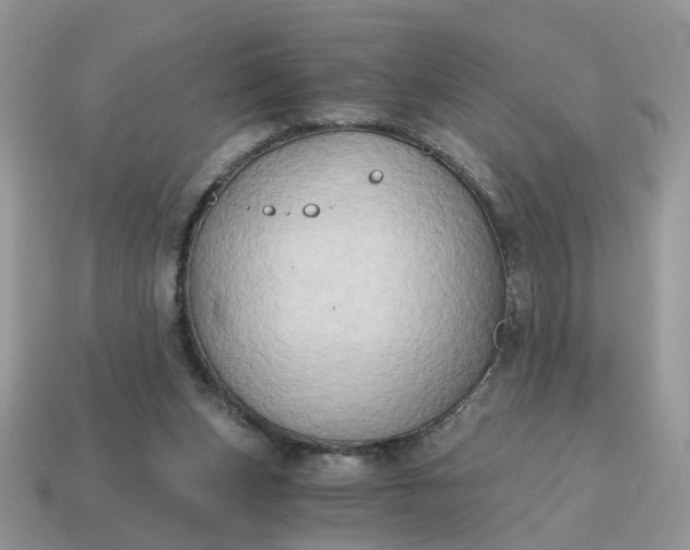 X0000114590159200911091304