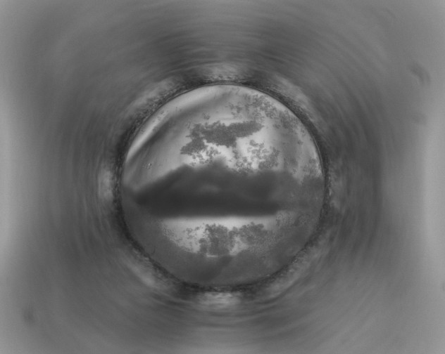 X0000114590161200911091304