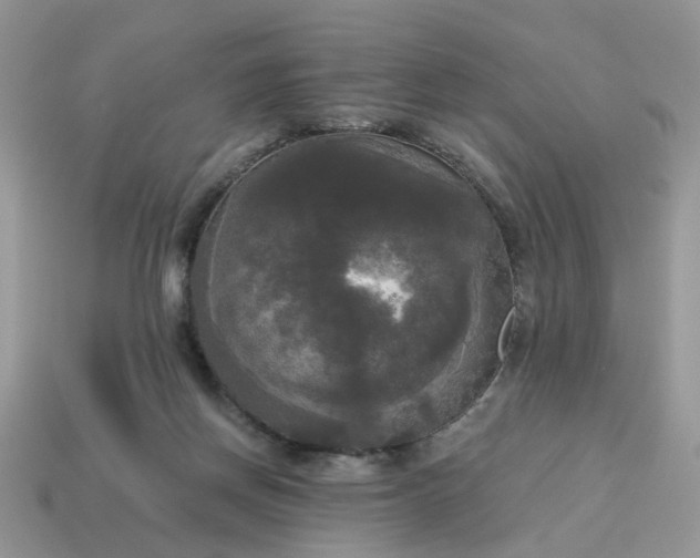 X0000114590166200911091304