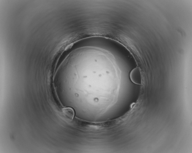 X0000114590167200911091304