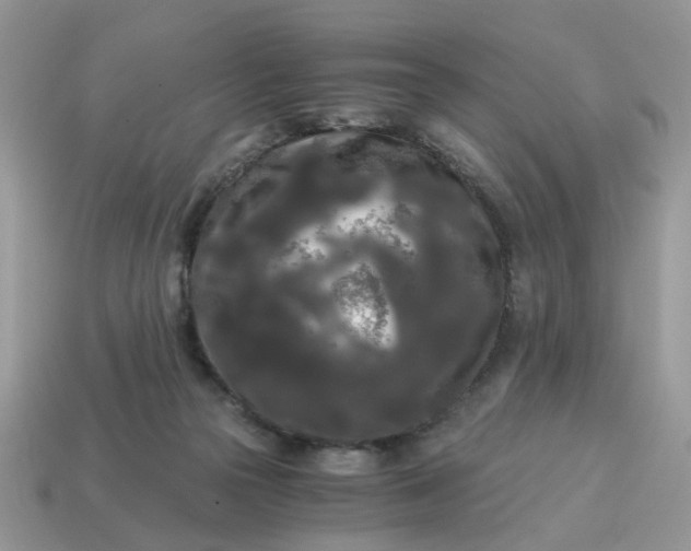 X0000114590169200911091304