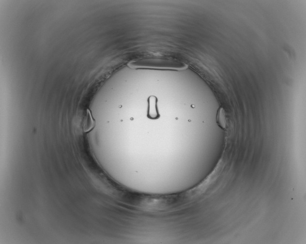 X0000114590174200911091304