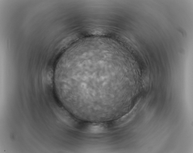 X0000114590175200911091304