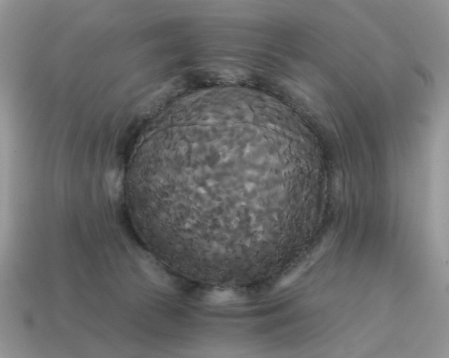 X0000114590177200911091304