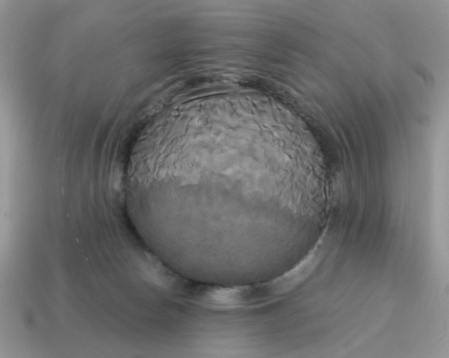 X0000114590178200911091304