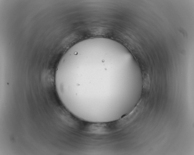 X0000114590179200911091304