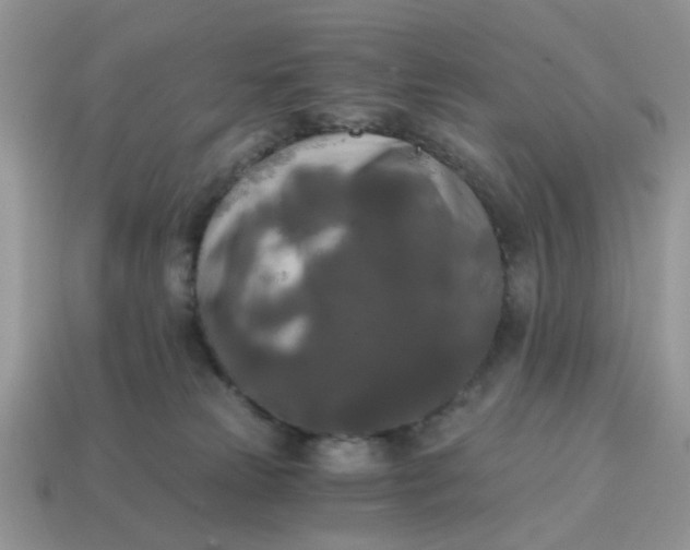 X0000114590181200911091304