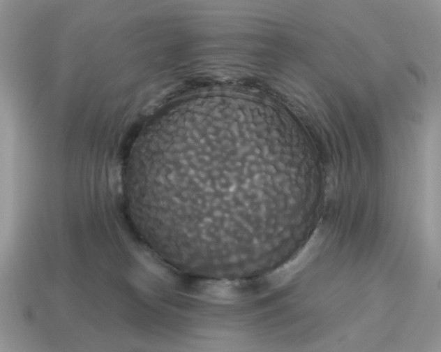 X0000114590182200911091304