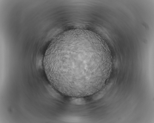 X0000114590185200911091304