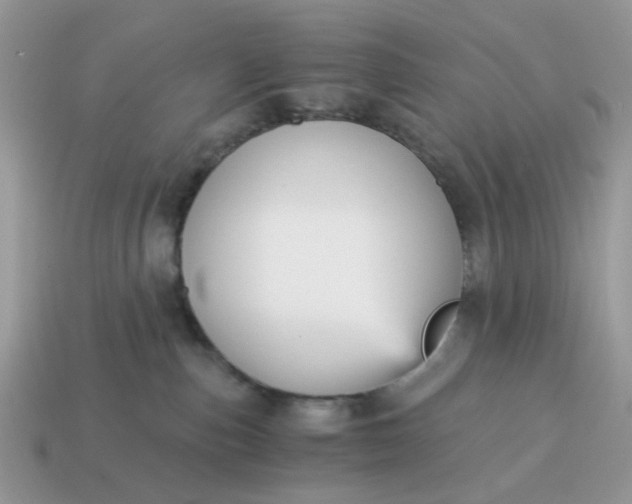 X0000114590187200911091304