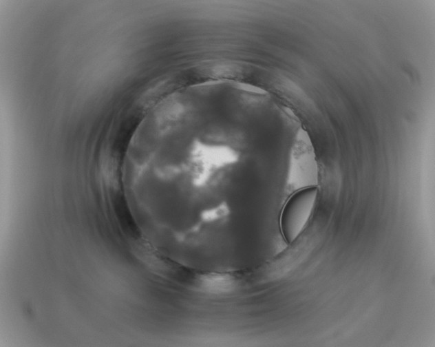 X0000114590189200911091304