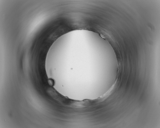 X0000114590190200911091304