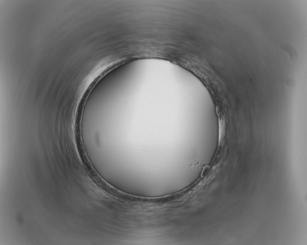 X0000114590195200911091303