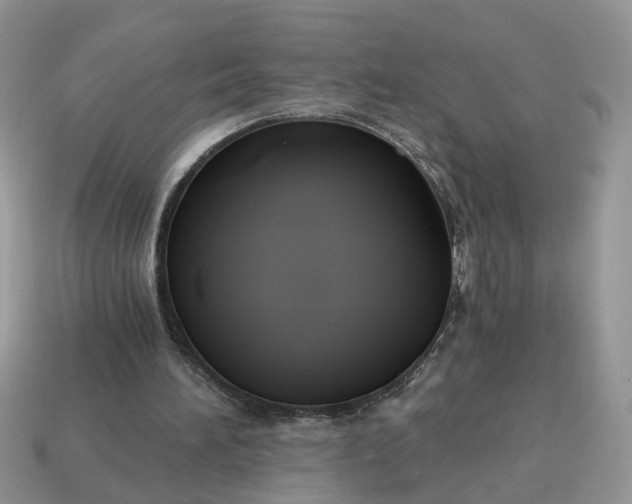 X0000114590196200911091303