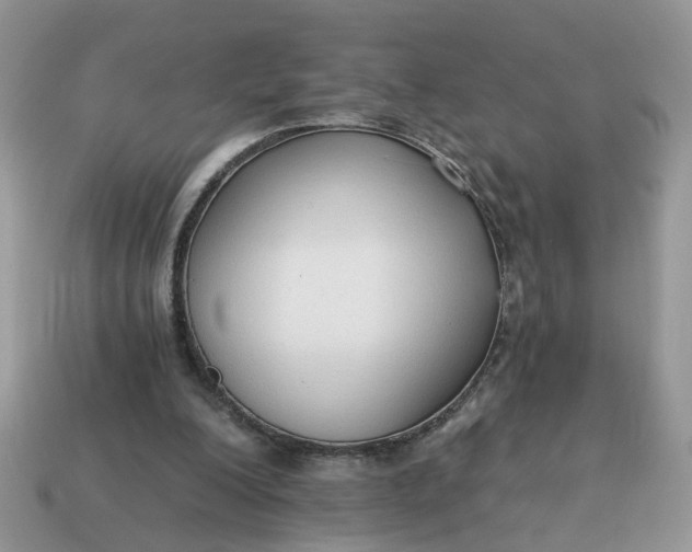 X0000114590200200911091303