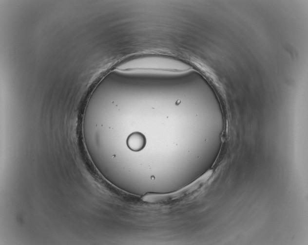 X0000114590201200911091303