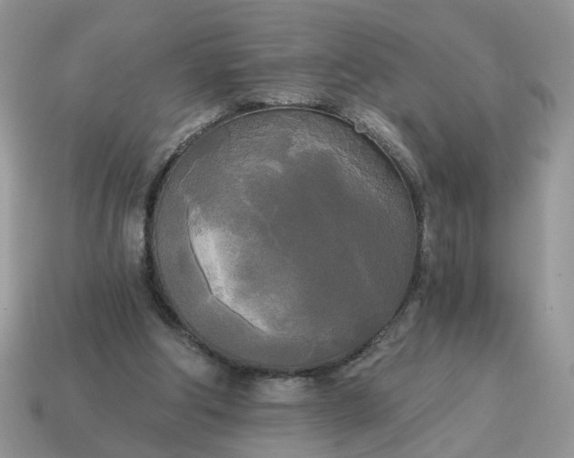 X0000114590202200911091303