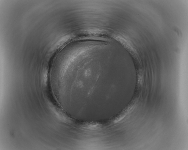 X0000114590206200911091303