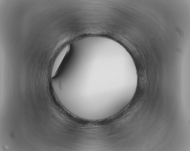 X0000114590207200911091303