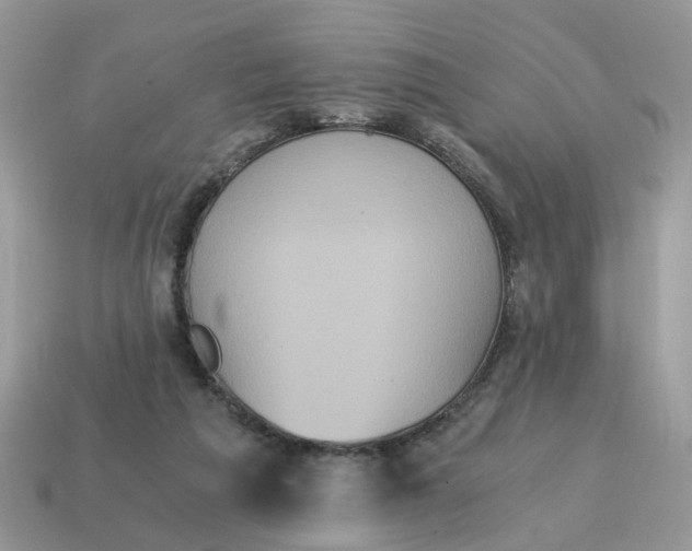 X0000114590209200911091303