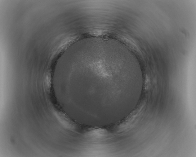 X0000114590210200911091303