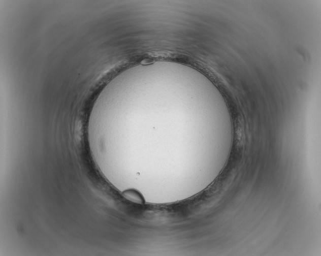 X0000114590211200911091303