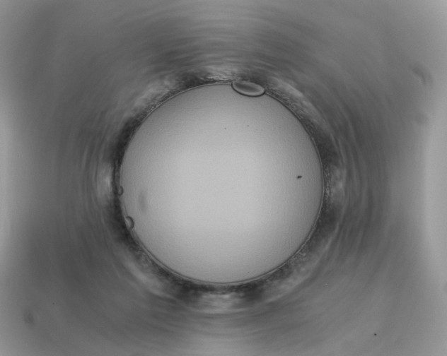 X0000114590213200911091303