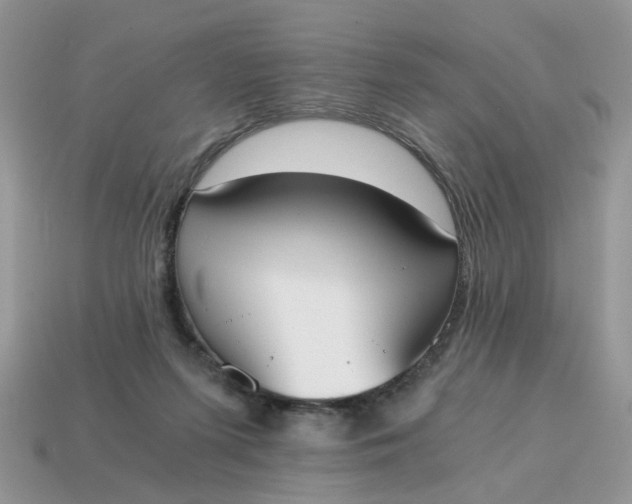 X0000114590215200911091303