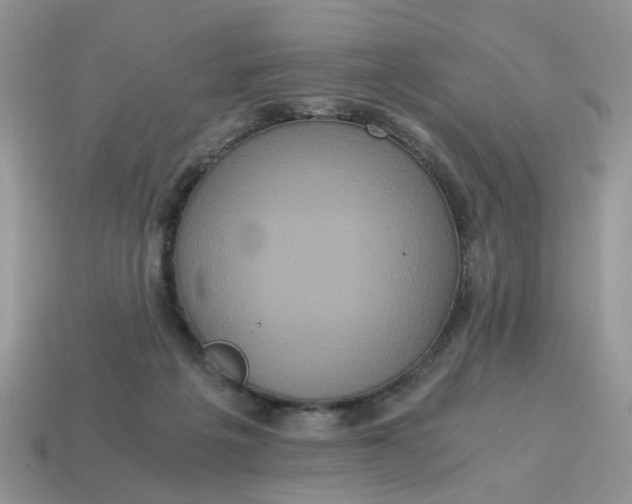 X0000114590217200911091303