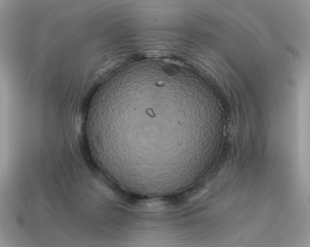 X0000114590219200911091303