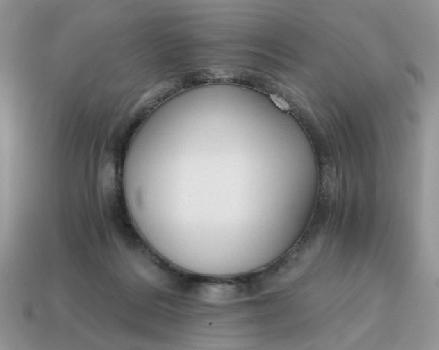 X0000114590220200911091303