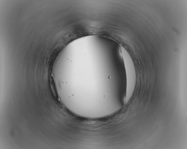 X0000114590221200911091303