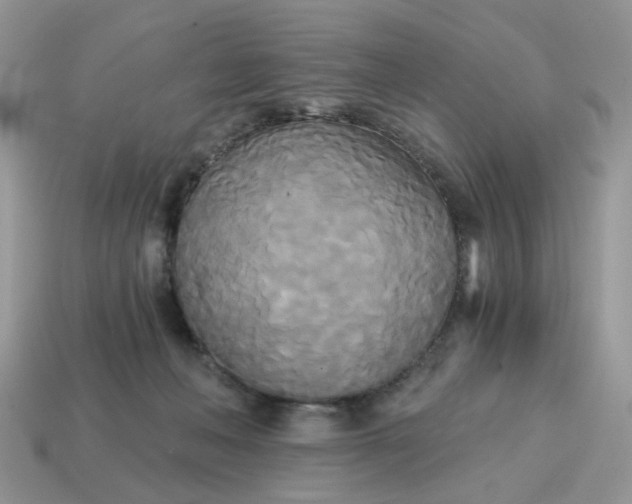 X0000114590222200911091303