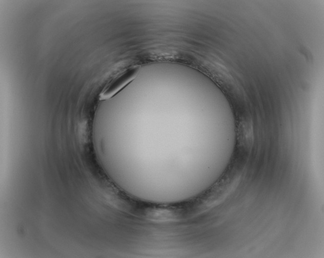 X0000114590224200911091303