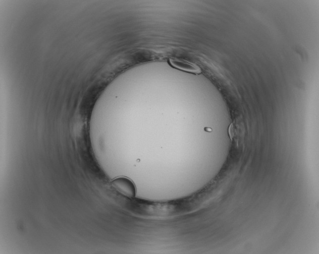 X0000114590225200911091303