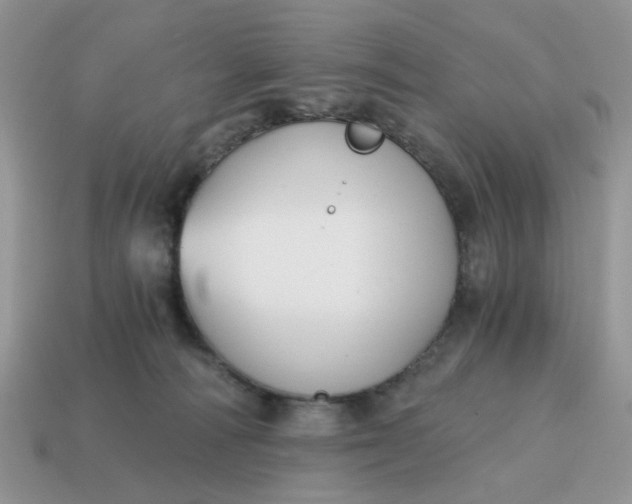 X0000114590226200911091303