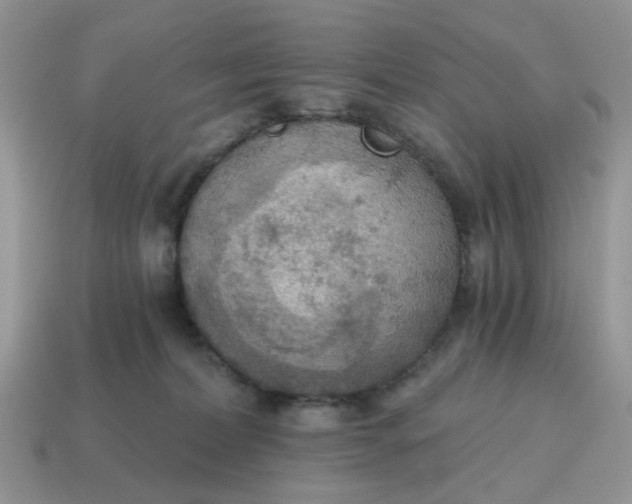 X0000114590228200911091303