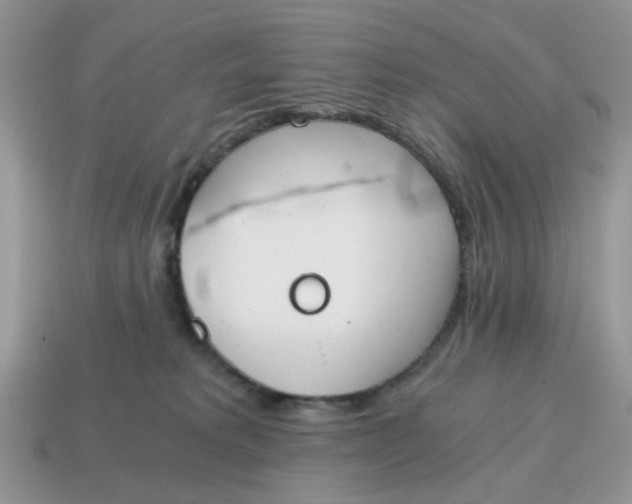 X0000114590229200911091303